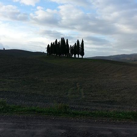 Passaggio In Val D' Orcia Apartment Torrenieri Bagian luar foto
