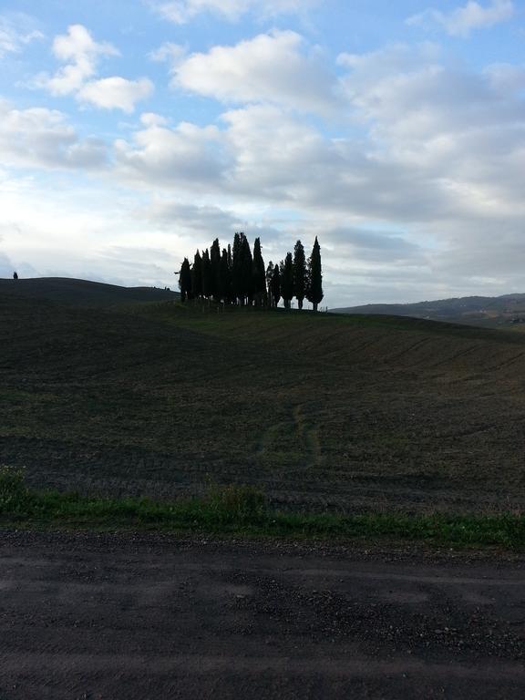 Passaggio In Val D' Orcia Apartment Torrenieri Bagian luar foto